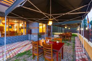 offbeat pulga by pack