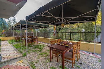 offbeat pulga by pack