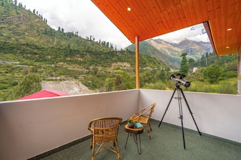 offbeat pulga by pack