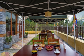 offbeat pulga by pack