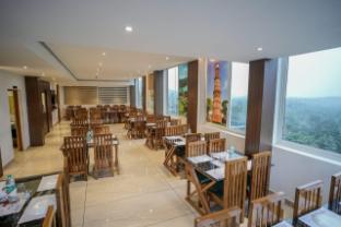 mountain pass residency