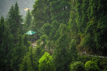 Liveaway Dharamkot By Pack,,3 star