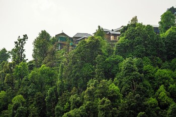 Liveaway Dharamkot By Pack,,3 star