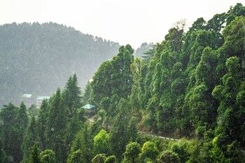 liveaway dharamkot by pack