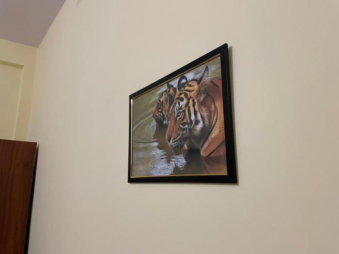 the comfort home stay ranthambhore