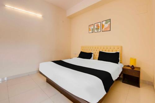 collection o hbr layout