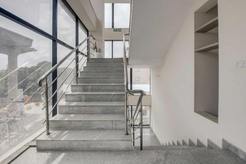 collection o hbr layout