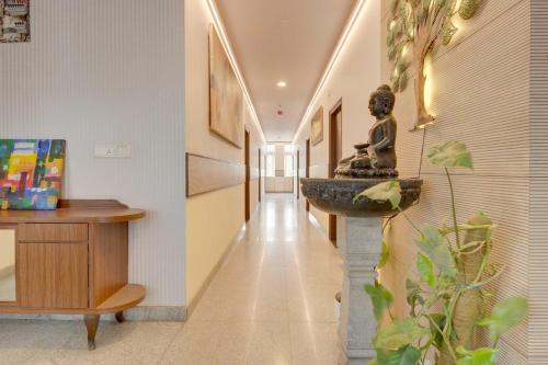 collection o hbr layout