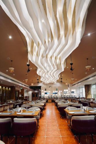 scylla luxury resort and spa