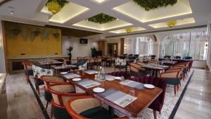 scylla luxury resort and spa