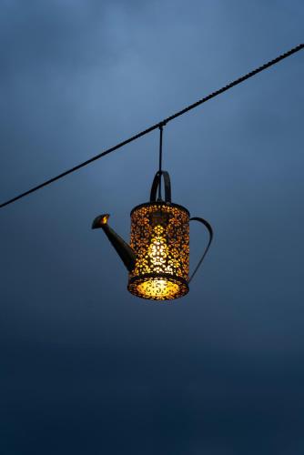 The White Roots Hotel,,3 star