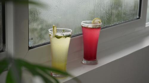 zeezmount resorts and spa munnar