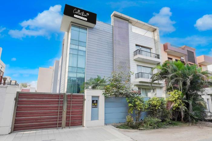 collection o sector 51 noida