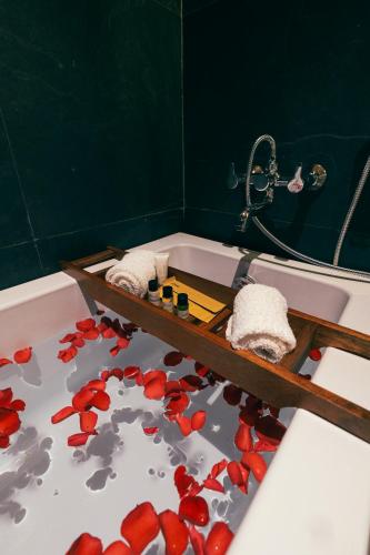 the clouds resort goa