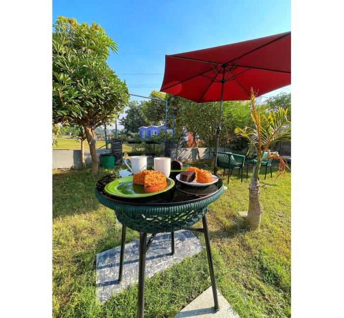 the viavaranasi resort