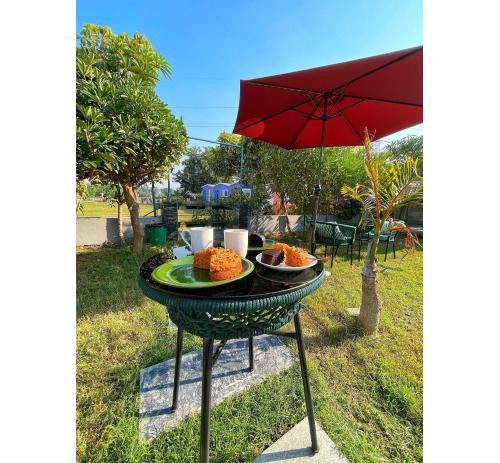 the viavaranasi resort