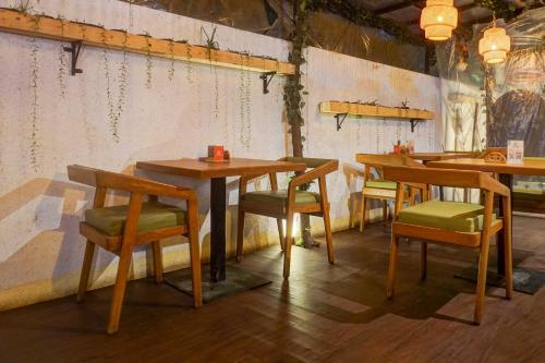 collection o gravity inn