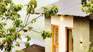 liveaway mukteshwar by pack