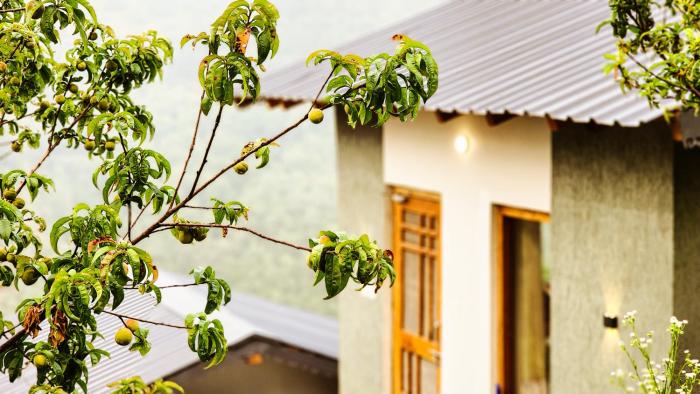 liveaway mukteshwar by pack