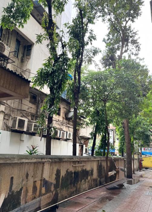 hotel comfort castle