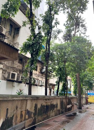 hotel comfort castle