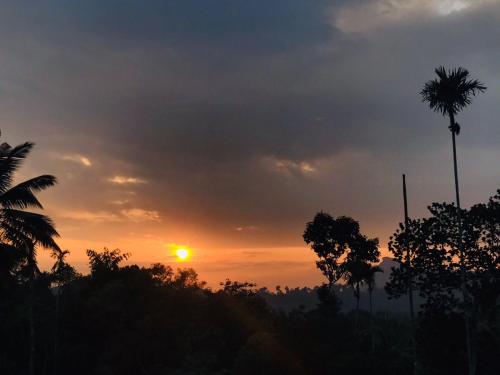 munnar hills homestay