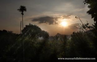 munnar hills homestay