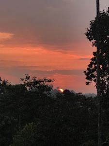 munnar hills homestay