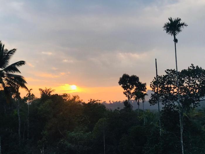 munnar hills homestay