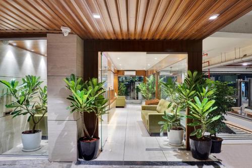 hotel sayba international