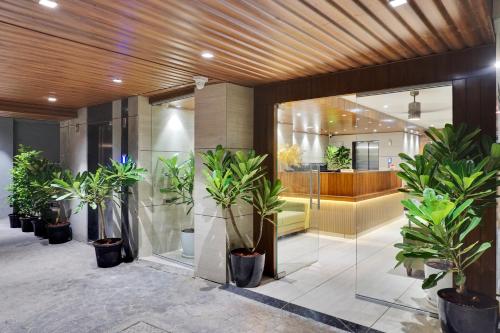 hotel sayba international