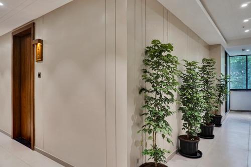 hotel sayba international