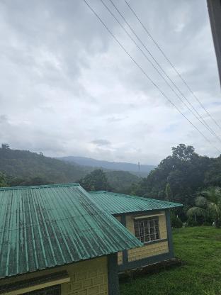 vestawood orchid resort