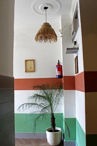 hostel de offlanders rishikesh stay connect explore