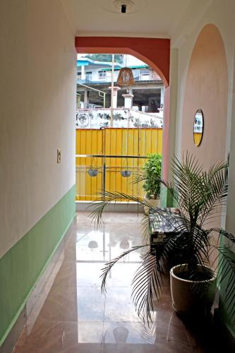 hostel de offlanders rishikesh stay connect explore