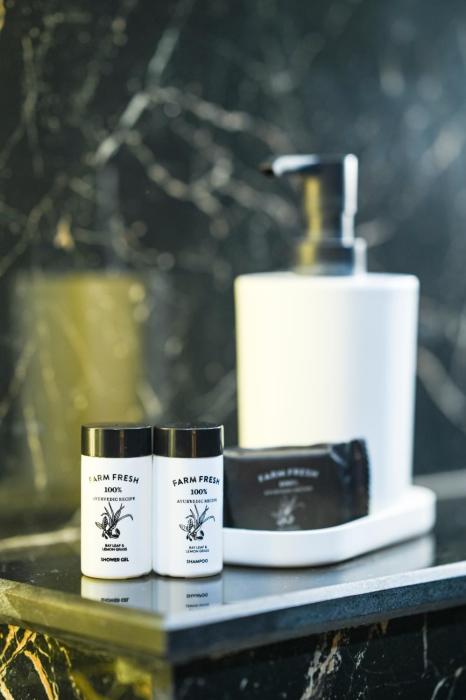 veritas essence of kashi