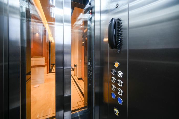 veritas essence of kashi