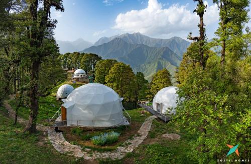 zostel homes billing bir