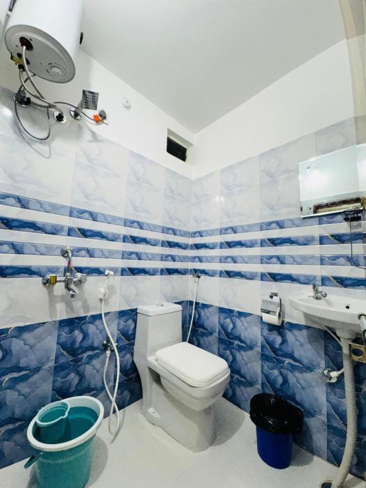 hotel hyderabad pulse