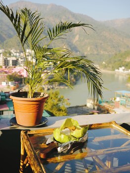 skyard hostel and homestay harsil valley