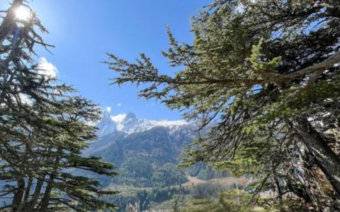 skyard hostel and homestay harsil valley
