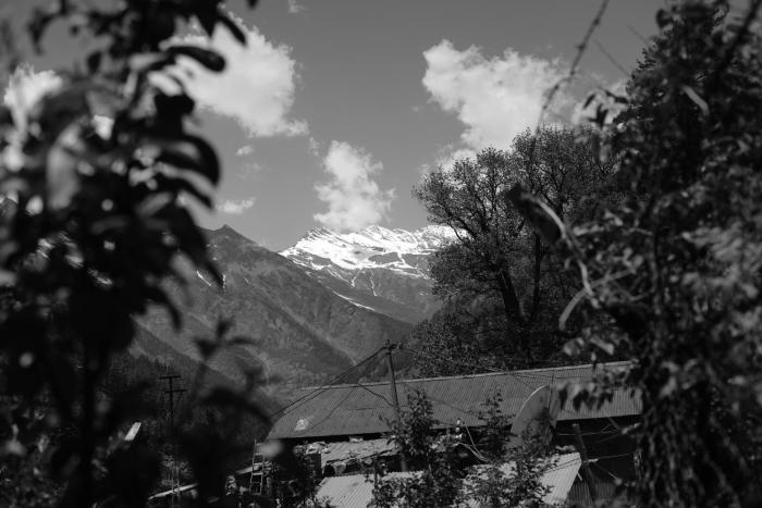 skyard hostel and homestay harsil valley