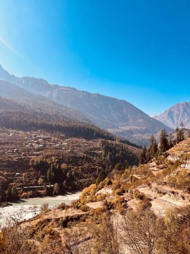 skyard hostel and homestay harsil valley