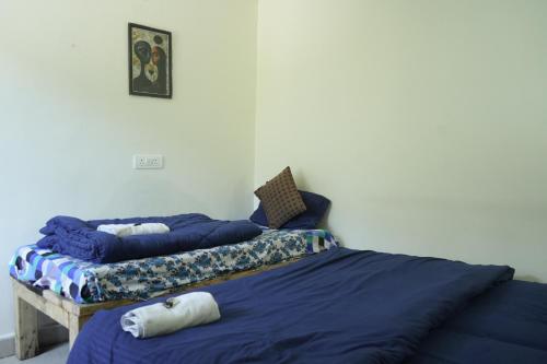 skyard hostel and homestay harsil valley
