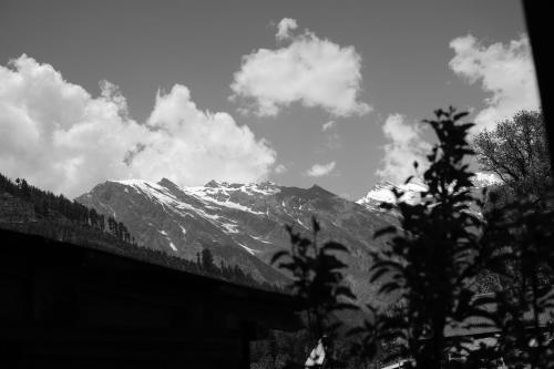 skyard hostel and homestay harsil valley