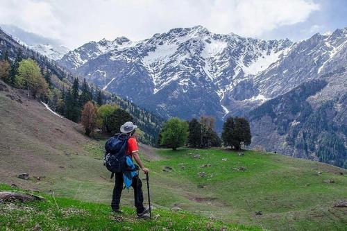skyard hostel and homestay harsil valley