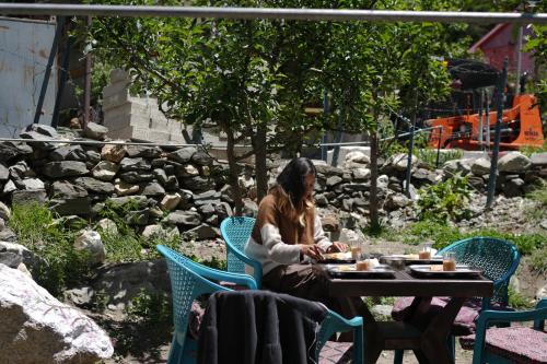 skyard hostel and homestay harsil valley
