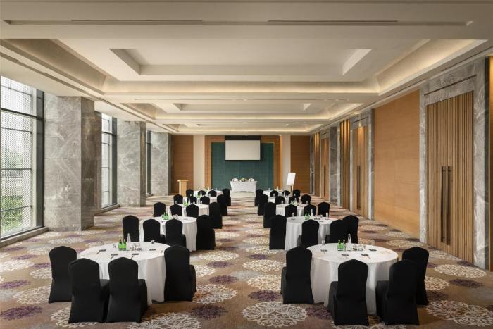 radisson hotel delhi mg road