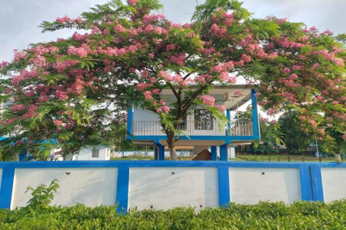 jalpaiguri