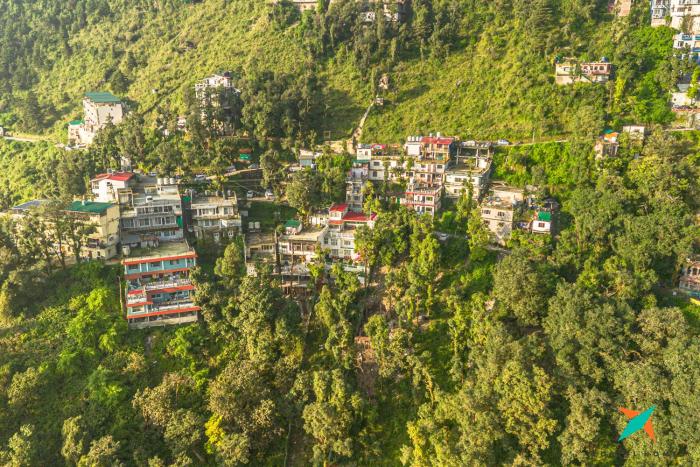 zostel homes mussoorie